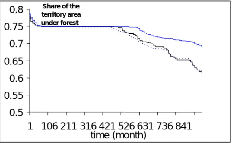 Figure 14: Evolution of the amount in total carbon of the territory under three economic scenarios 