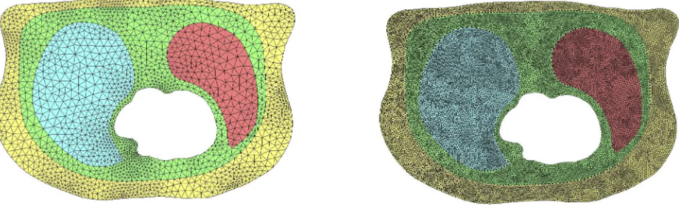 Figure 4. Two different degrees of refinement of the torso mesh. The corser mesh (left) has 2206 vertices and the finer mesh (right) has 17 432 vertices.