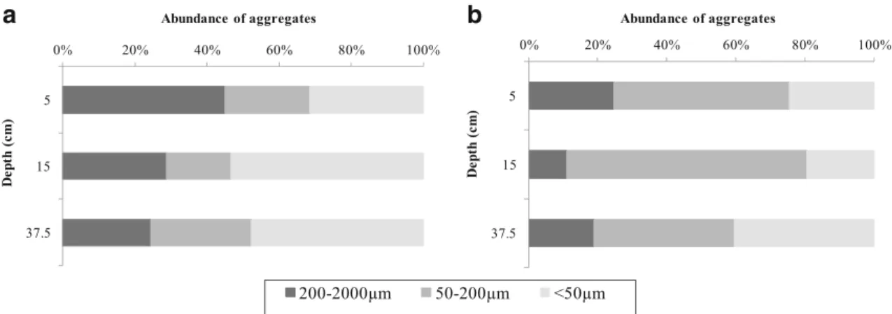 Fig. 1 Abundance of aggregate classes (200 – 2000 μ m; 50 – 200 μ m; <