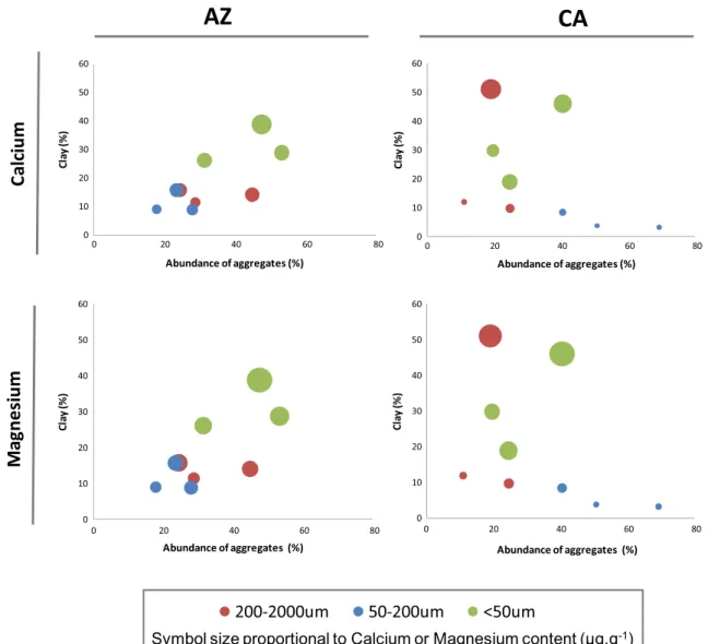 Fig. 2 Relationships between the clay content of an aggregate class, the abundance of the class and its concentration in exchangeable calcium or magnesium at the two sites