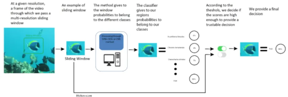 Fig. 3. Detection/Recognition pipeline