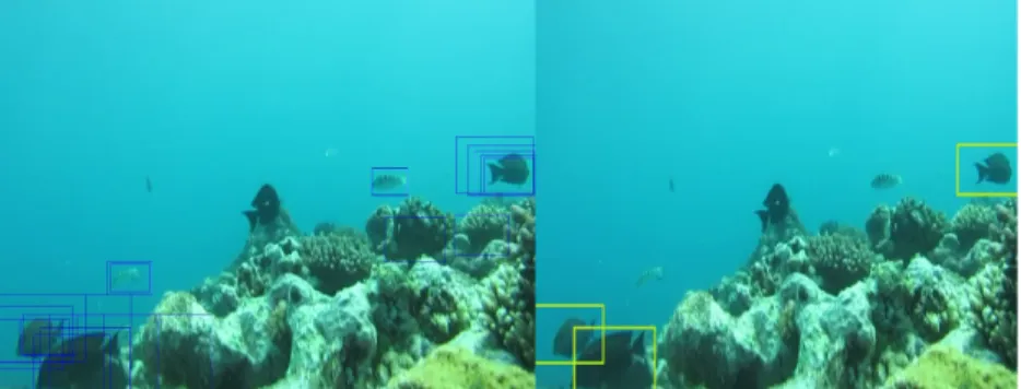 Fig. 5. Results of the detection before (left) and after (right) post-processing. Note that two fishes in the center are not displayed because they do not belong to one of the species which have been learned.