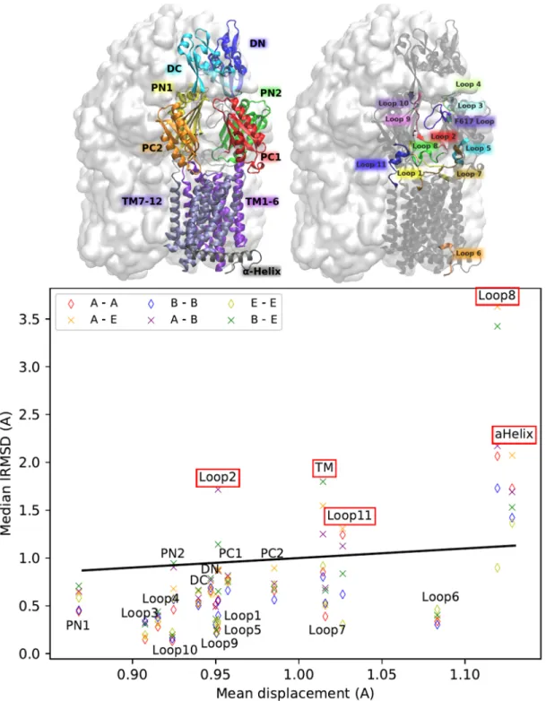 Figure 2: (Top) The 19 subdomains in a monomer of AcrB (Bottom) Comparing the mean displacement in crystal asymmetric structures against the median lRMSD of subdomains for different states and transitions identifies 5 dynamic/unstable subdomains (Def