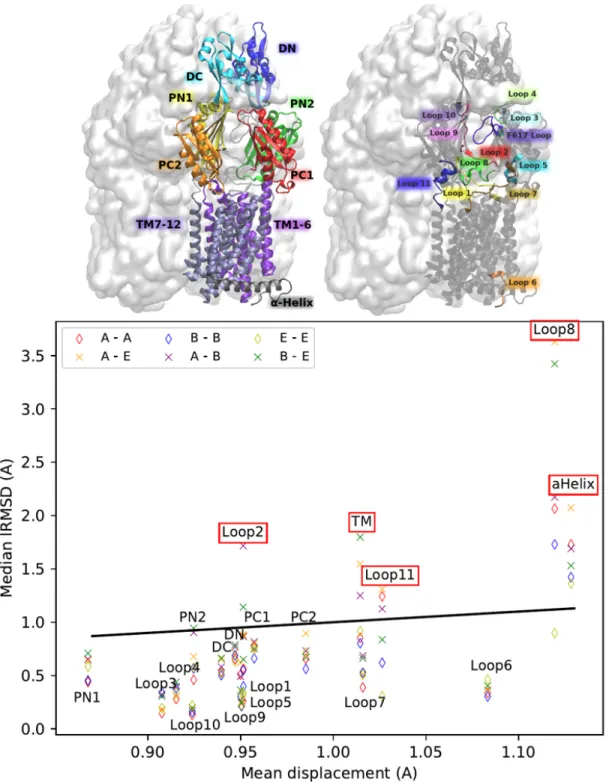 Figure 2: (Top) The 19 subdomains in a monomer of AcrB (Bottom) Comparing the mean displacement in crystal asymmetric structures against the median lRMSD of subdomains for different states and transitions identifies 5 dynamic/unstable subdomains (Def