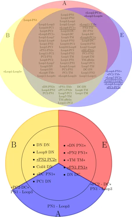Figure 5: AcrB: Evolution of interfaces between subdomains within a monomer and across monomers