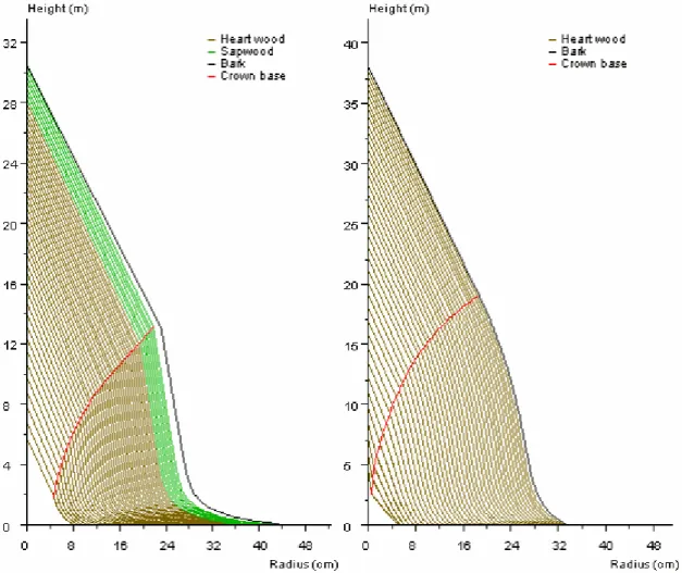 Fig. 4. Taper models for Sessile Oak (left) and Common Beech (right)