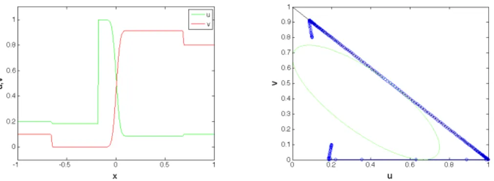 Figure 7. Solution to (1)-(4) with U L = (0.2, 0.1) and U R = (0.1, 0.8). We observe a 1-shock, a crossing shock, a contact  dis-continuity and a 2-shock.