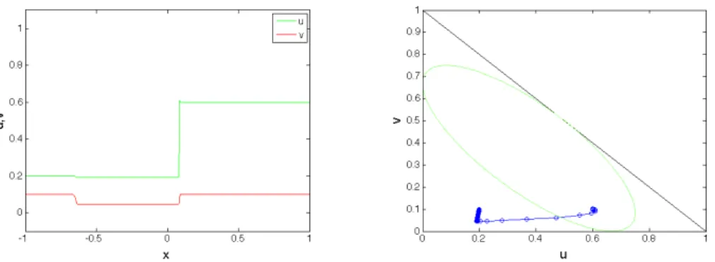 Figure 11. Distributional solution to (1)-(4) with U L = (0.2, 0.1) and U R = (0.6, 0.1) ∈ E