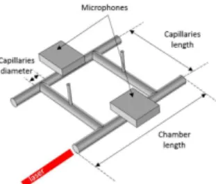 Fig. 1 Shape of the cavity that contain the gas. The cell is composed of two chambers linked by two capillaries, and two microphones cavities