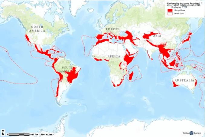 Figure  I.4.  Carte  de  la  distribution  des  points  chauds  de  la  biodiversité  selon  Myers  et  al