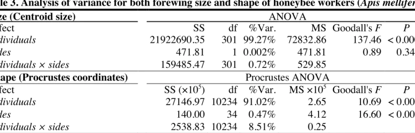 Table 3. Analysis of variance for both forewing size and shape of honeybee workers (Apis mellifera)