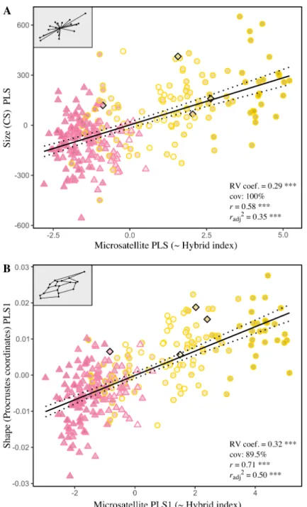 Fig  2.  Patterns  of  covariation  between  forewing  morphology  and  neutral  genetic  variation assessed via partial least-square analyses (PLS)