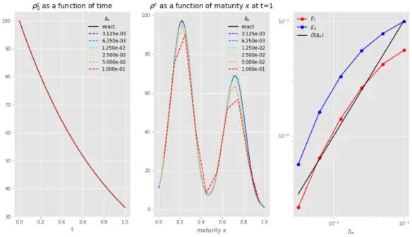 Figure 4. Convergence of the numerical scheme for the rescaled model as a function of ∆ x , for ε = 0.5