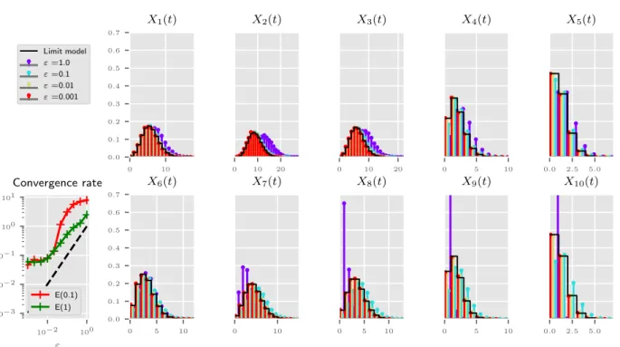 Figure 8. Empirical law of X i ε in each maturity compartment at time t = 1 for different ε in colored bars (see legend insert) and the limit distribution ¯X i (black solid lines)