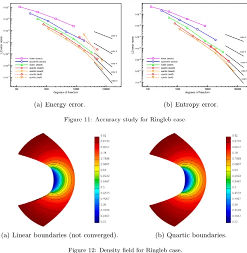 Figure 12: Density field for Ringleb case.