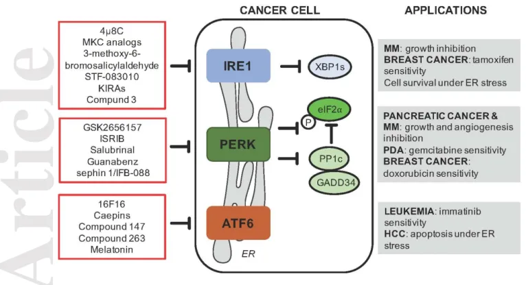 Figure 3. Anti-cancer effects of the UPR-targeting drugs. Many molecules specifically targeting each  of  the  UPR  branches  show  potential  anti-cancer  activities  either  by  inhibiting  tumor  growth  or  restoring chemosensitivity in drug-resistant 