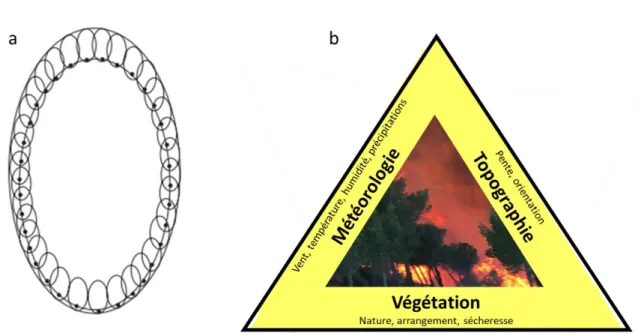 Figure 1. Explications traditionnelles de la propagation d’un feu de forêt. 