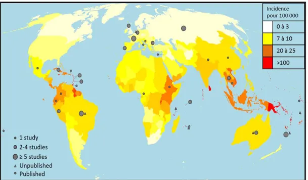 Figure 1 : incidence de la leptospirose dans le monde selon Costa et al. 2015. 
