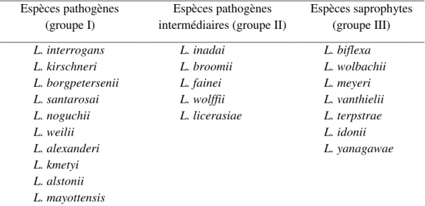 Tableau 2: classification génomique des espèces de Leptospira reconnues en 2017  Espèces pathogènes 