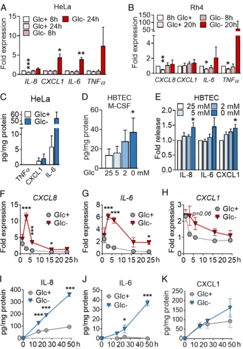 Fig. 1. Inhibition of glycolysis promotes cytokine synthesis and secretion. (A) HeLa cells were treated for 8 or 24 h with media containing 25 mM (Glc + ) or 2 mM (Glc − ) glucose