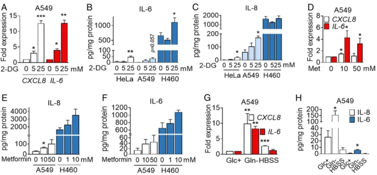 Fig. 2. 2-DG, metformin (Met), and glutamine deprivation induces IL-6 and IL-8. (A) A549 cells were treated with 2-DG for 6 h