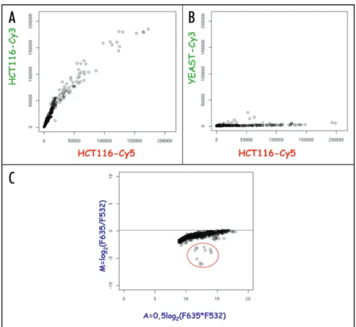 Figure  1.  Array  and  Probes  validation.  (A  and  B)  Representative  scatter  plots  of  raw  signal  intensities  measured  on  RepArray  in  dual  color  experiment