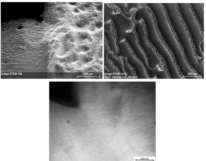 Figure  2.1 :  Image  STEM  (Philips  CM20-FEG)  et  MET  (JEOL  2010)  mettant  en  évidence  l’attaque  préférentielle  dues  à  l’amincissement  des  échantillons  MET  par  électrochimie