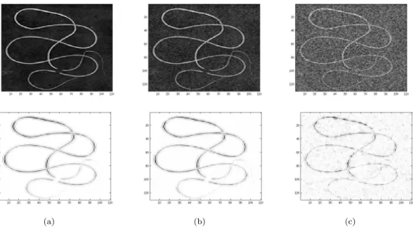 Figure 1. Robustness of the topological gradient with respect to noise on a synthesis image using (16), (a) : Image without noise, (b) : Noisy image with Gaussian noise, PSNR=26dB, (c) : Noisy image with Gaussian noise, PSNR=14dB, top : Initial image, down