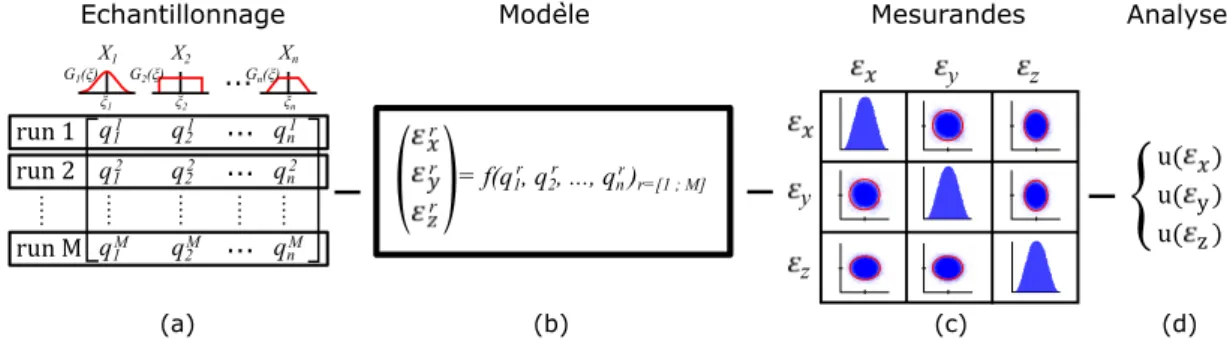 Figure 3.17 – Ce schéma présente le processus de MCM, où (a) représente une illus- illus-tration de la propagation de la loi de distribution des grandeurs d’entrée indépendantes n, afin d’obtenir M valeurs possibles des grandeurs de sortie