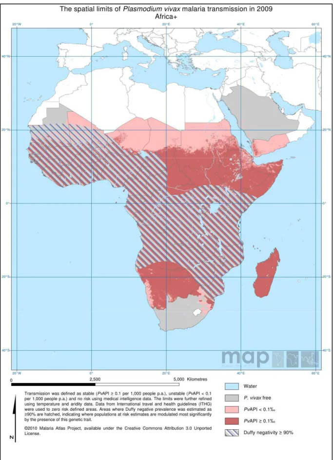 Figure 2: Transmission du paludisme à P. vivax en Afrique en 2010. 