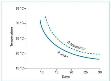 Figure 4 : Durée du cycle sporogonique de P. falciparum et P. vivax en fonction de la  température (In Danis et Mouchet 1991)  