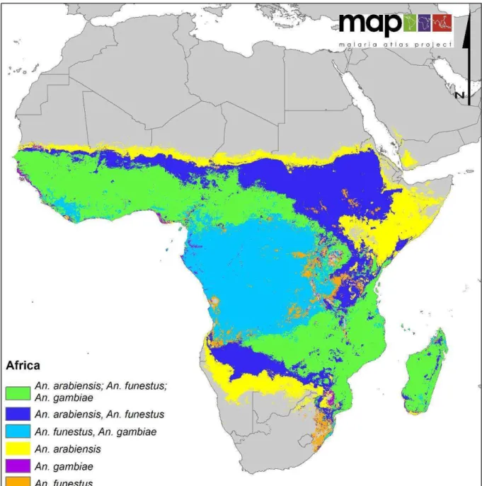 Figure 8 : Distribution spatiale des principales espèces vectrices de paludisme en Afrique