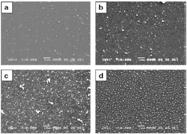 Figure 1-37 Clichés MEB d'une lame de verre (a) fonctionnalisée par spin-coating d'une solution de AgNO 3  puis  (b) trempée 60 s dans NaBH 4  ; (c) trempée 60 s dans l'hydrazine ou (d) chauffée 3 h à 450°C sous 1 bar de H 2 105