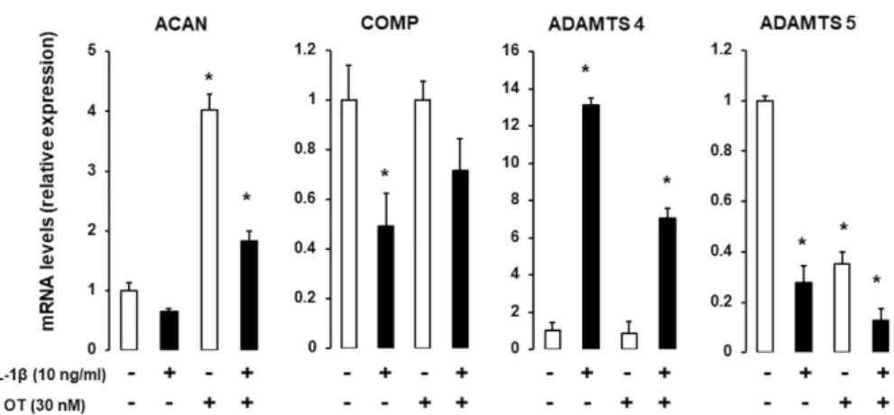Figure 4. Effect of IL-1β  on  gene  expression  in  hMADS-derived chondrocytes with or without OT  treatment
