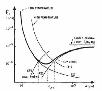 Figure I-13 : Évidence d’une taille de grain optimale pour laquelle la vitesse de déformation stationnaire en fluage est  minimale à 800°C sous 150 MPa [Lasalmonie, 1986]