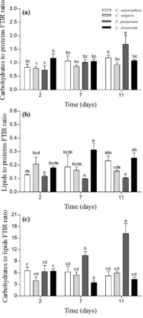 Figure 5. Macromolecular composition of the biofilms after 2, 7 and 11 days of maturation
