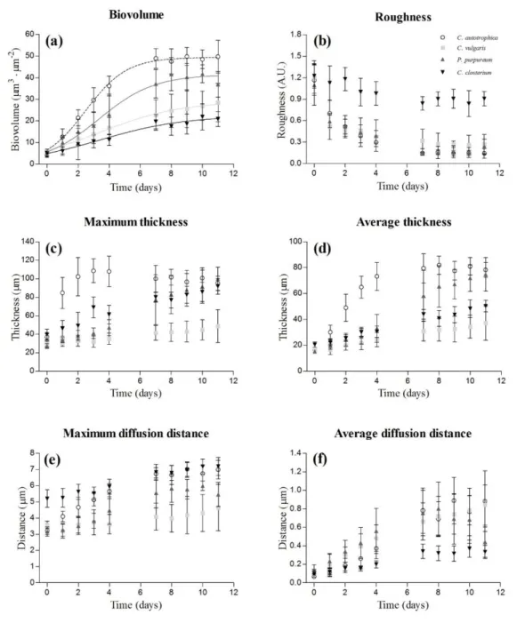 Figure 2. Dynamics of the structural parameters obtained from the z-stacks acquired at the CLSM: 