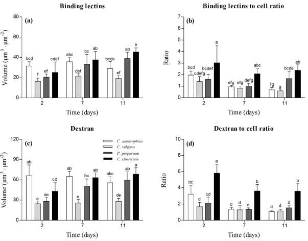 Figure  3.  Structural  parameters  characterizing  the  biofilm  matrix  at  day  2,  7  and  11
