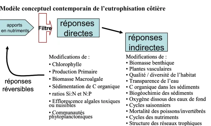 Figure I.6 - Modèle conceptuel contemporain de l’eutrophisation côtière. Les dernières  avancées ont mis en évidence (1) une suite complexe de réponses directes et indirectes aux  changements d’apports en nutriments ; (2) des attributs du système qui agiss