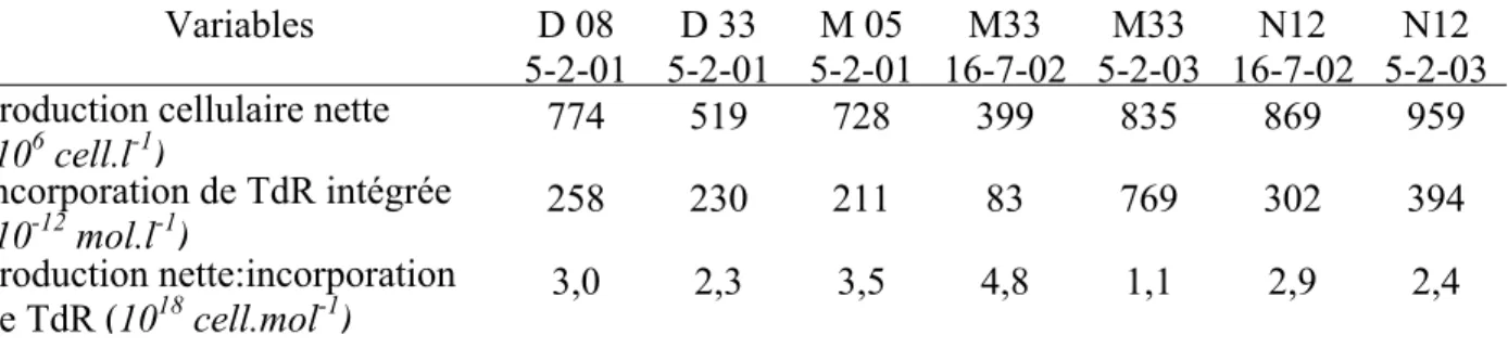 Tableau II.4 – Production cellulaire nette, incorporation de TdR intégrée, et rapport de la  production nette à l’incorporation de TdR