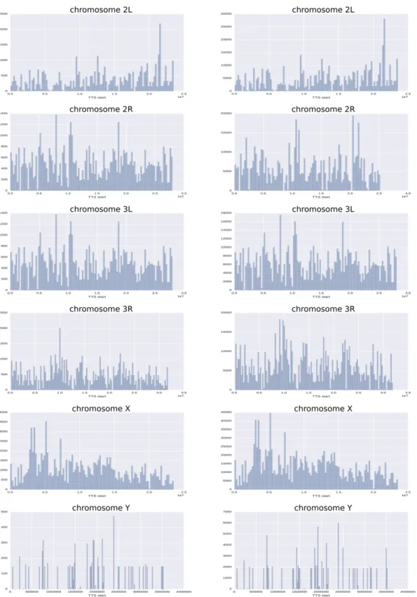 Figure 2 Distribution/localization of putative triplexes on chromosomes. Chromosomes were divided into bins of 200 kbp