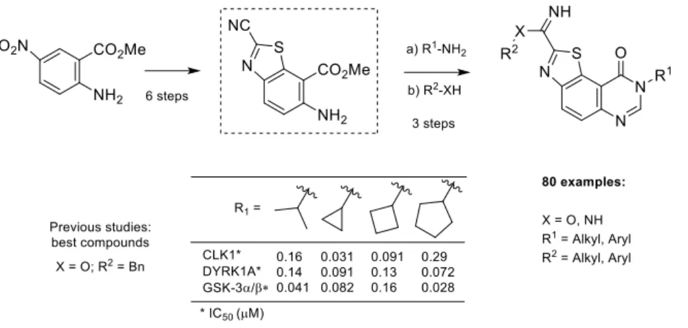 Figure  1.  Results  of  molecular  modeling  studies  (docking  experiments)  (left)  and  schematic  representation  (right)  of  the  predicted  binding  modes  of  thiazolo[5,4-f]quinazolin-9(8H)-ones  (Scheme 2, in DYRK1A) 