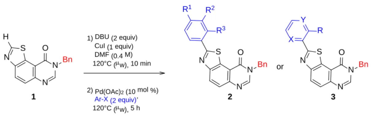 Table 1. Chemical structures and yields obtained for the synthesis  a  of series 2a–j (R 1 , R 2 , and R 3 ) and  3a–c  b  (R, X, and Y)