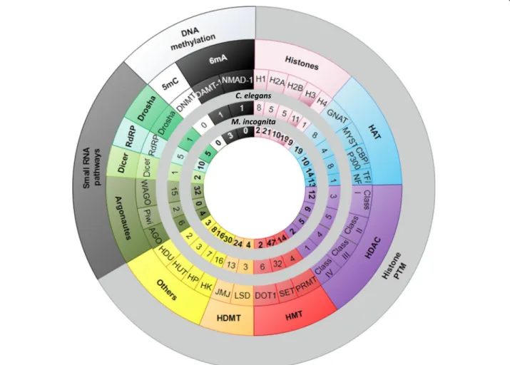 Table S5). Annotations for each of the three epigenetic processes are detailed below.