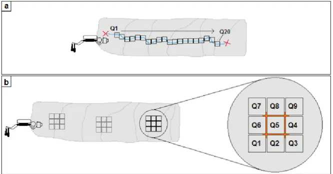 Figure 15 - Les deux types de transects testés. Transect linéaire (a) : 20 quadrats photo  sont  effectués  à  une  profondeur  donnée,  localisés  par  des  marques  permanentes