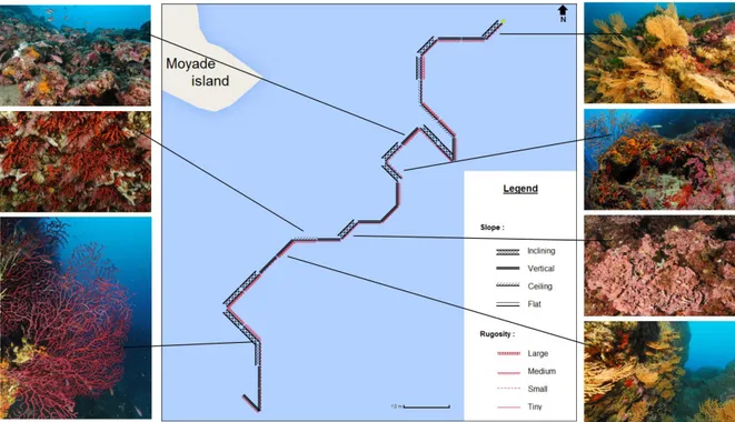 Figure 18 : exemple de relevé d’une plongée au Sud-Est de l'îlot de Moyade lors d’un  entraînement  :  les  plongeurs  relèvent  les  profils  tous  les  5  mètres  à  28  m  de  profondeur