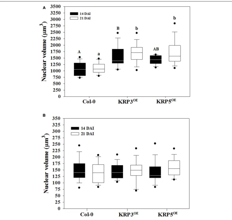 FIGURE 6 | Average volume of nuclei in GC 14 and 21 DAI and non-giant cells (NGC) of wild-type (Col-0), KRP3 OE , and KRP5 OE lines