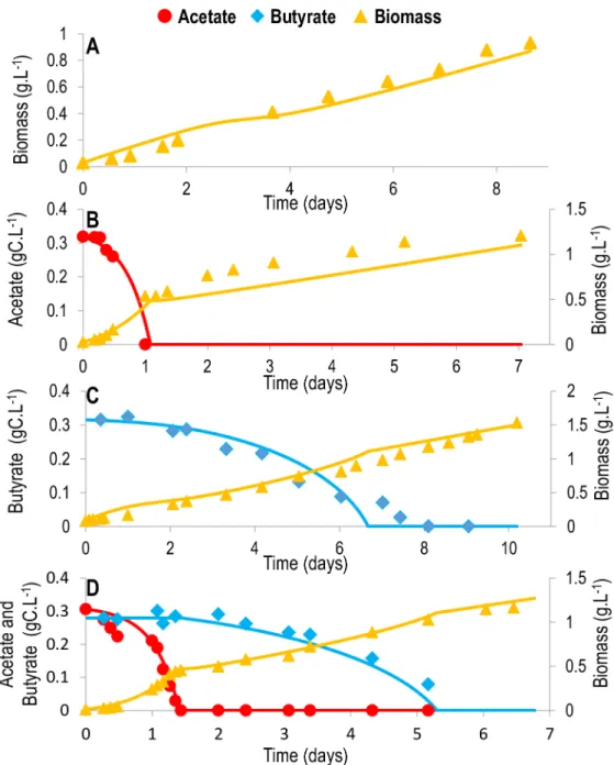 Fig 4. Comparison between the model and experimental data for Chlorella sorokiniana mixotrophic and autotrophic growth