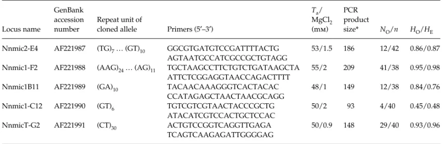 Table 1  Characterization of five microsatellite loci in Nephrops norvegicus. GenBank accession number, repeat units, primer sequences,  annealing temperature (T a ) and magnesium chloride final concentration, *PCR product size deduced from the cloned alle