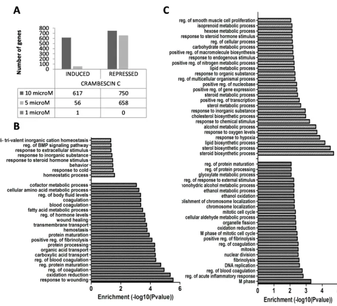 Figure 3.  (A) Induced and repressed genes after 24 h treatment of HepG2 cells with  crambescin C1 (CC1), determined by microarray analysis; (B) Biological processes  significantly altered in 5 μM CC1 treated HepG2 cells, determined by ontological analysis